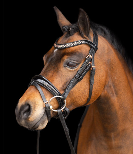 Imperial Riding Hoofdstel IRHPetit Trenshoofdstellen - Maddelin Equestrian Imperial Riding