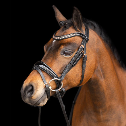 Imperial Riding Hoofdstel IRHPetit Trenshoofdstellen - Maddelin Equestrian Imperial Riding