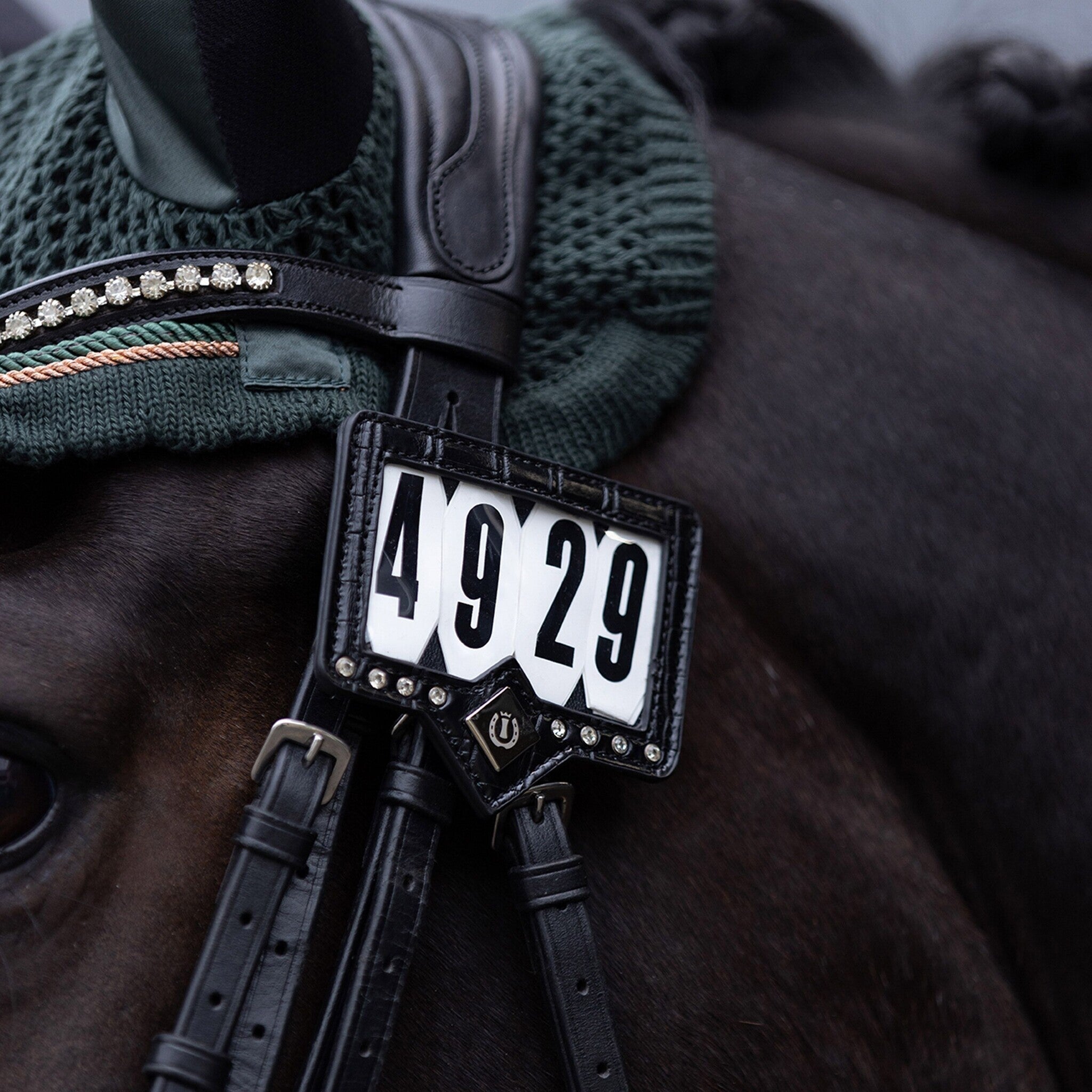 Imperial Riding Wedstrijd Number IRHShow And Glow Wedstrijdnummers - Maddelin Equestrian Imperial Riding