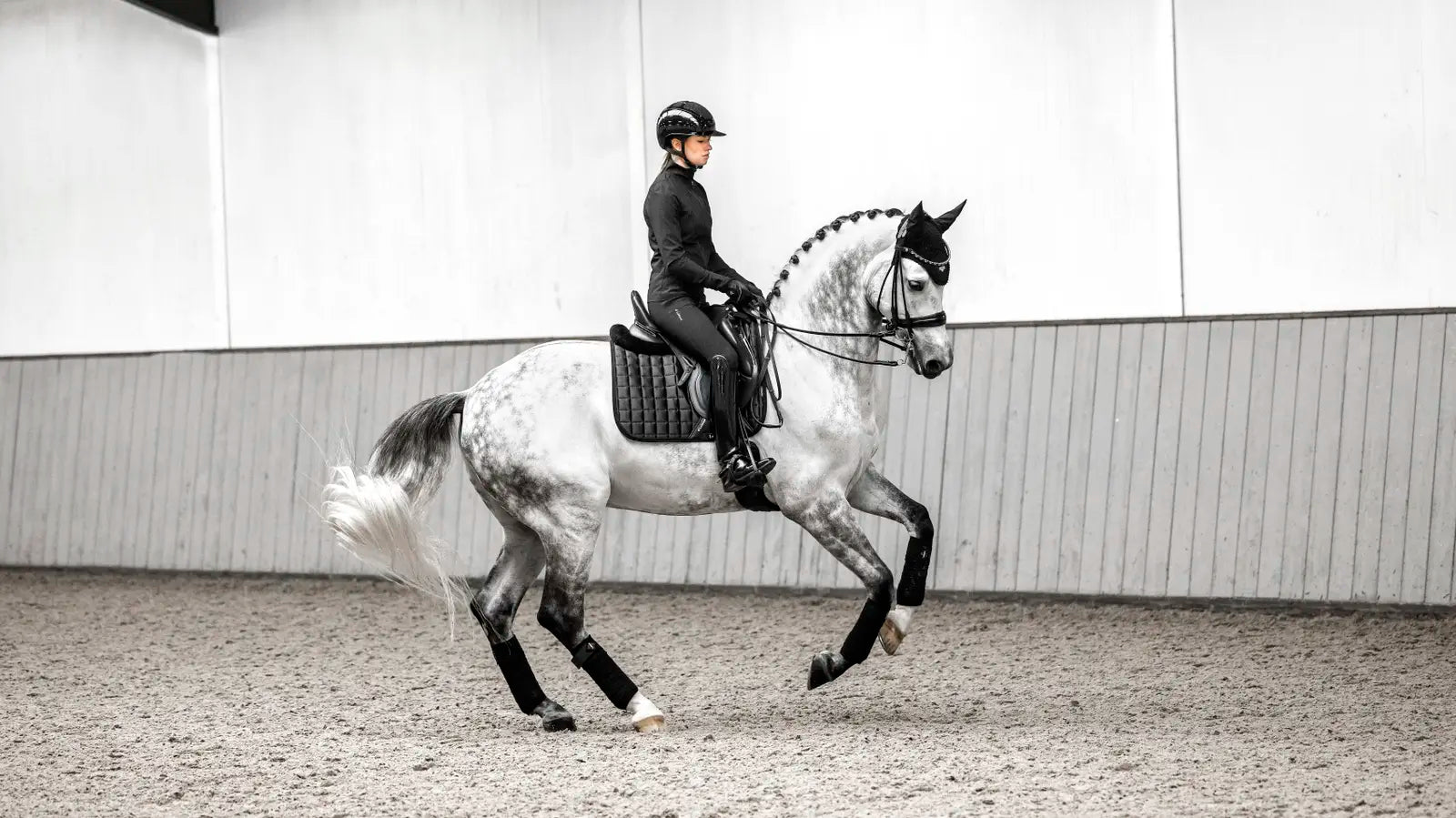 LeMieux Loire Zadeldek Core