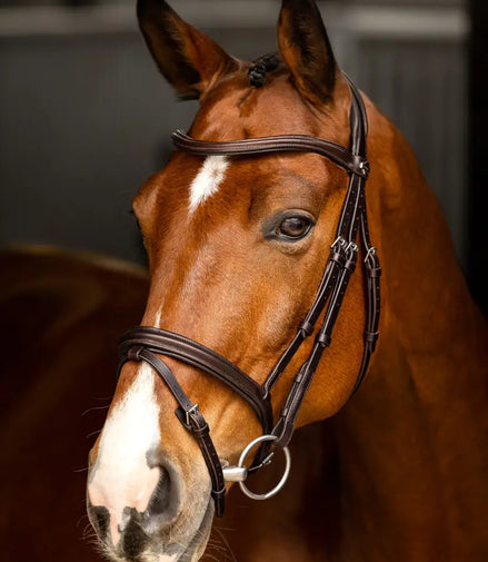 LeMieux Arika Flash Kopfstück