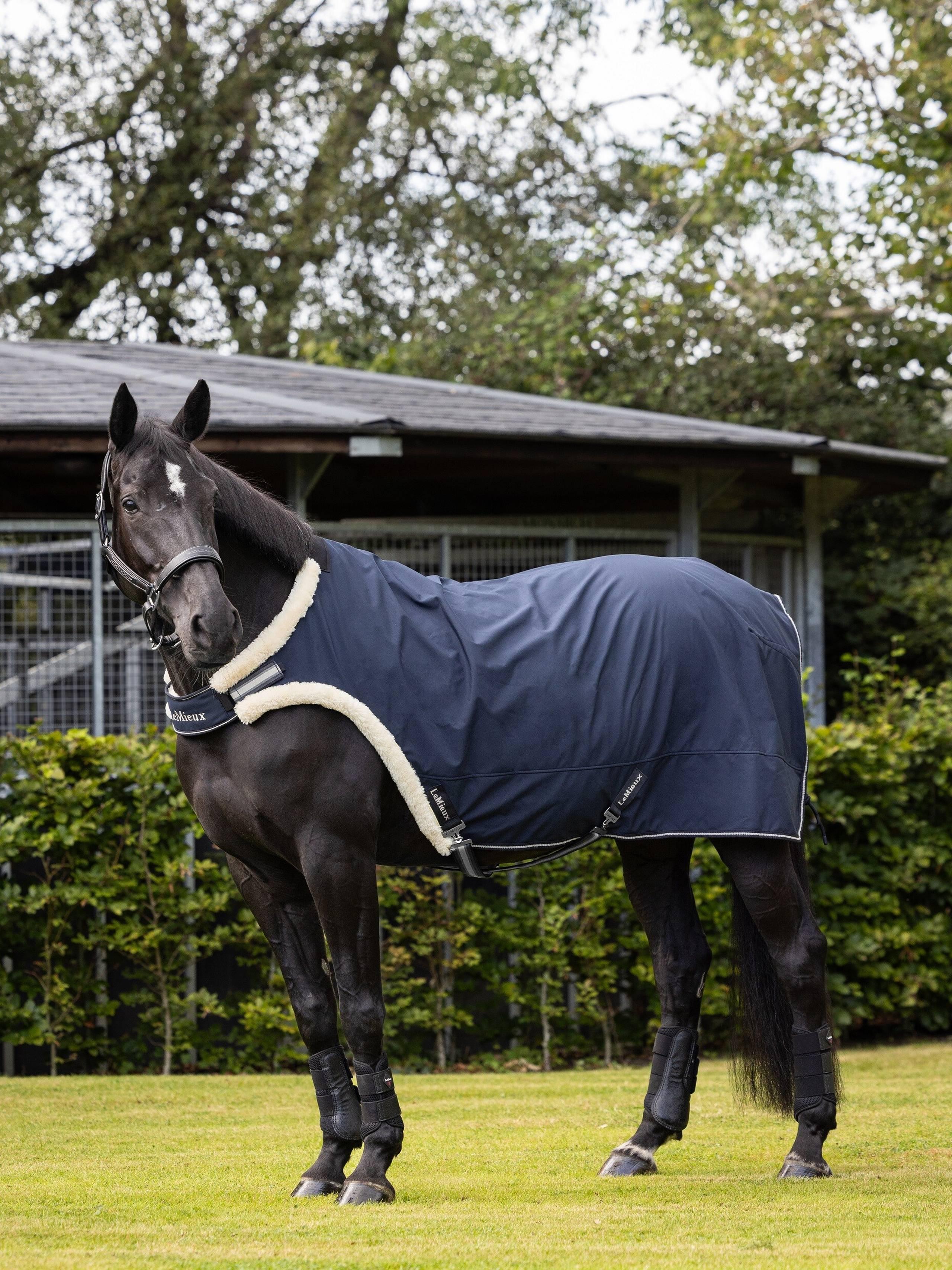 LeMieux Walker Walker Decke, Marineblau, Größe L