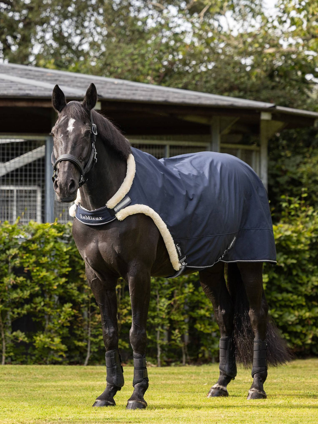 LeMieux Walker Stapmolendeken Navy Large