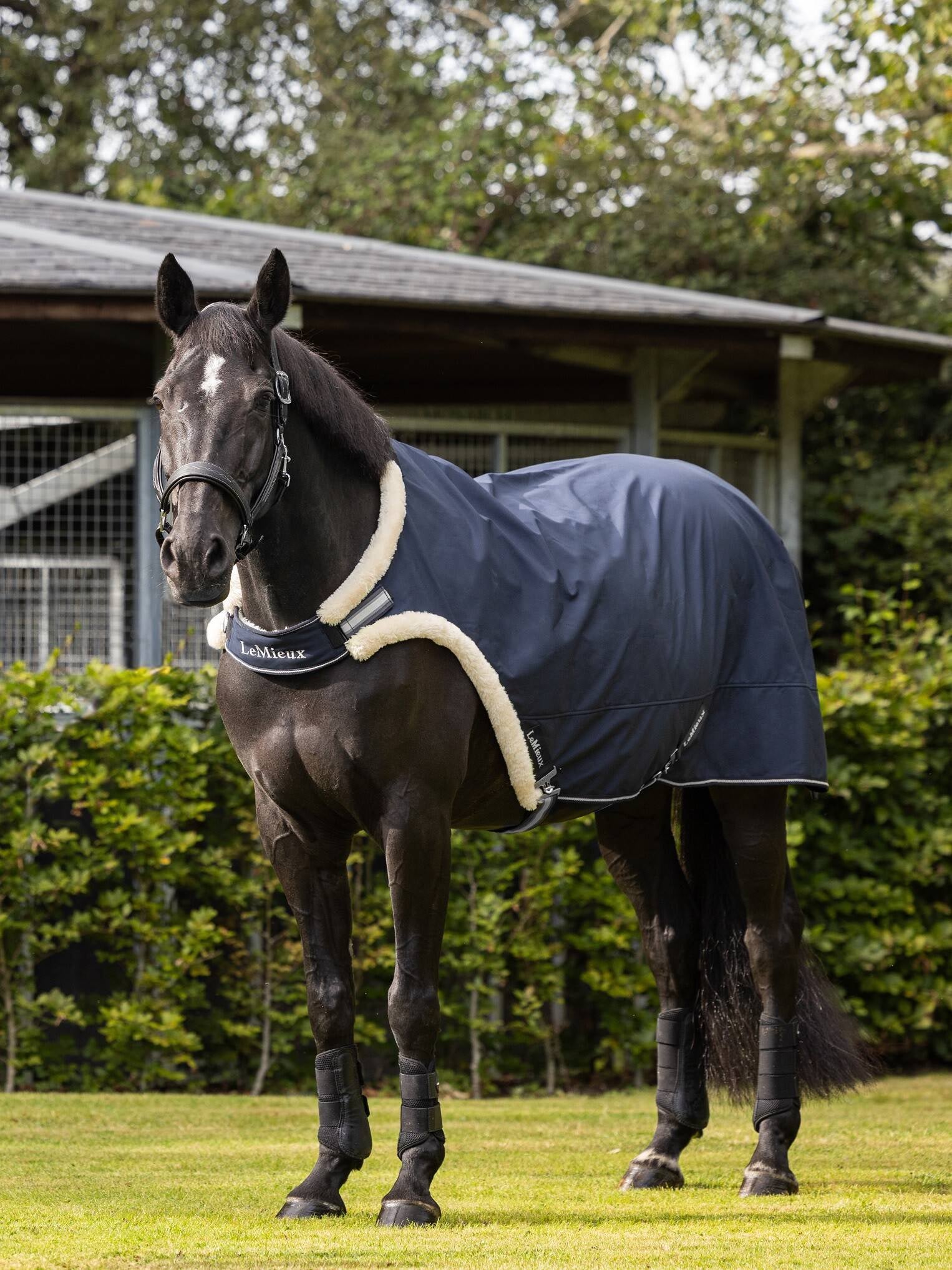 LeMieux Walker Walker Decke, Marineblau, Größe L