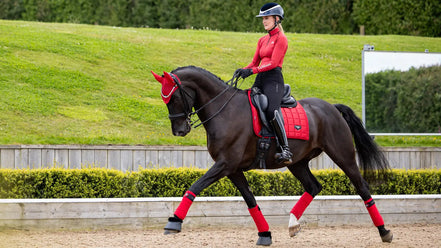 LeMieux Loire Zadeldek Core