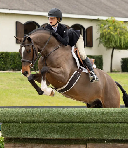 LeMieux Merino+ Hunter Zadeldek