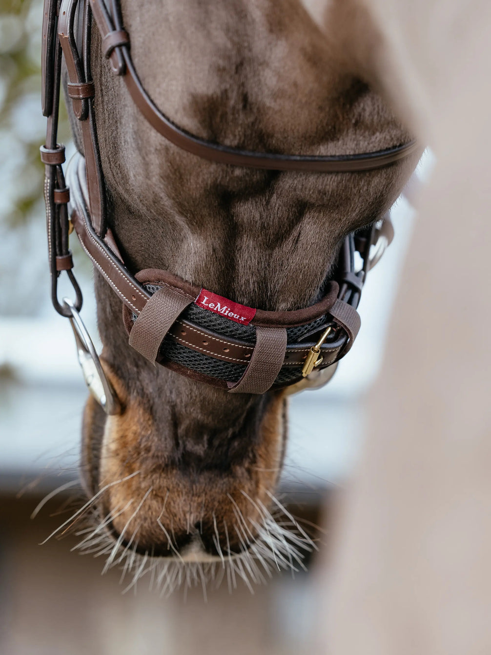 LeMieux Neusriem Onderlegger Bruin