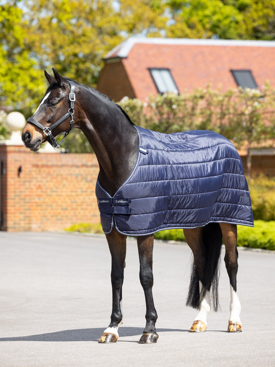LeMieux Rug Liner Onderdeken