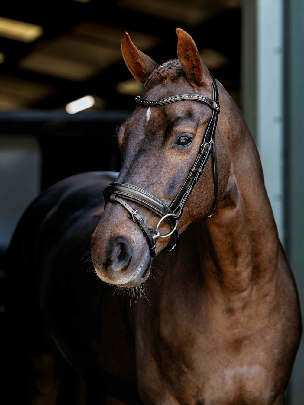 LeMieux Arika Dressage Hoofdstel