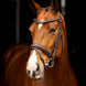 LeMieux Arika Dressage Hoofdstel