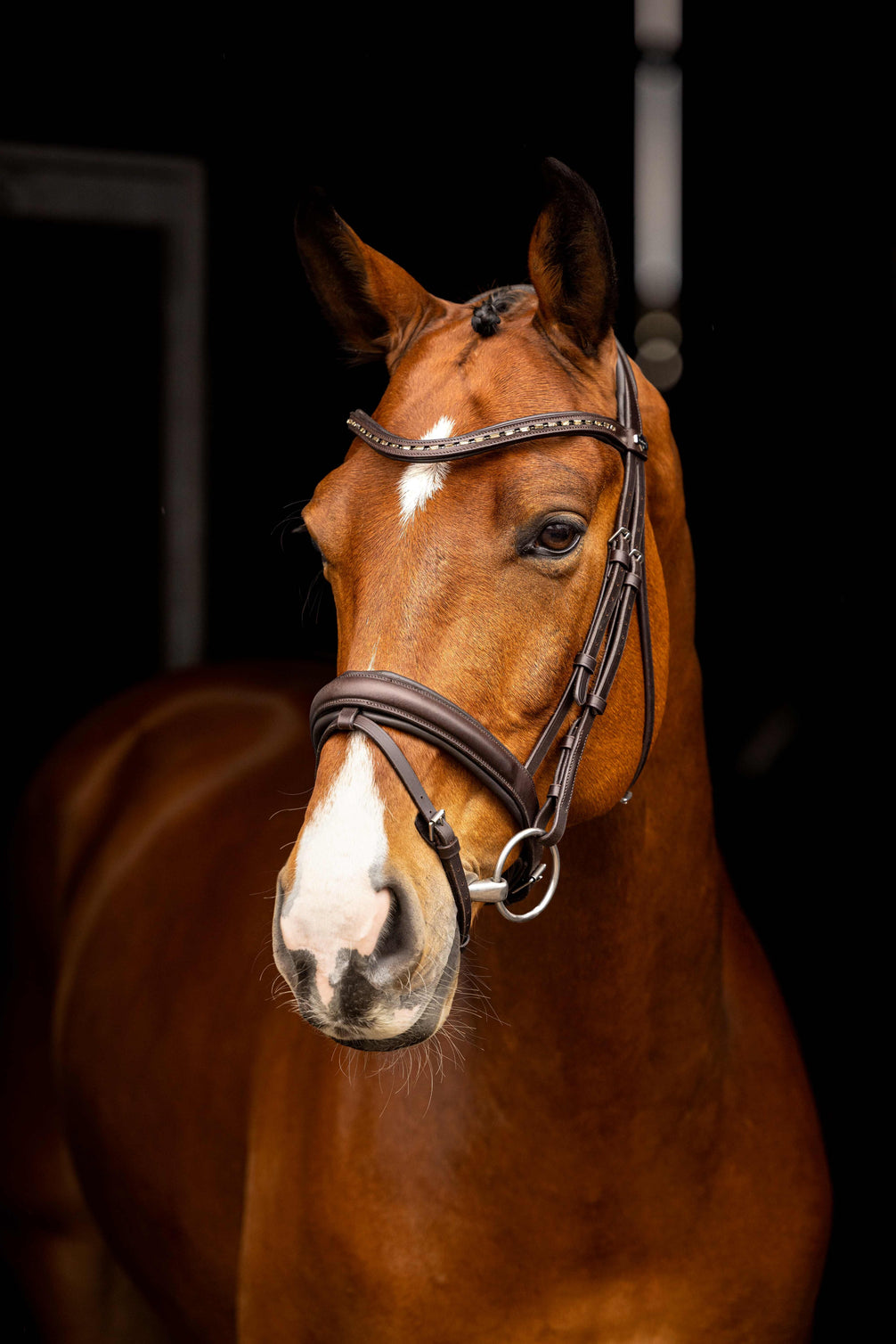 LeMieux Arika Dressage Hoofdstel