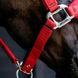 LeMieux Breakaway Vogue Halster – detailfoto 13