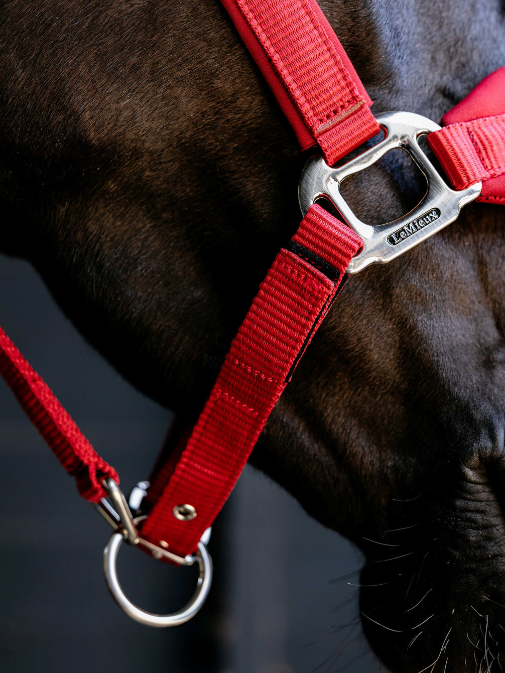 LeMieux Breakaway Vogue Halster – detailfoto 13