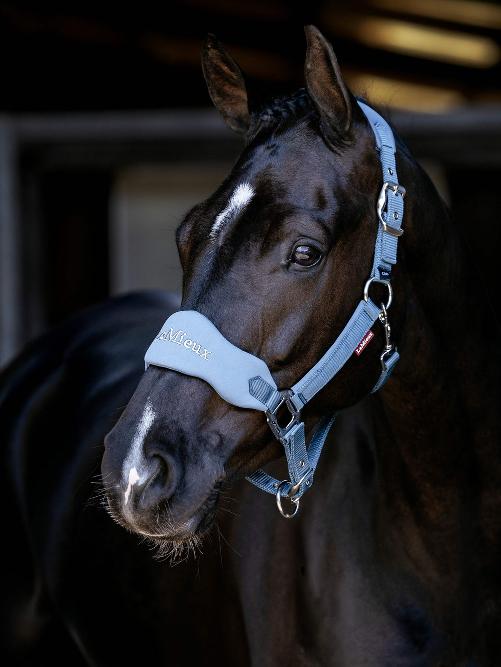 LeMieux Breakaway Vogue Halster – detailfoto 9