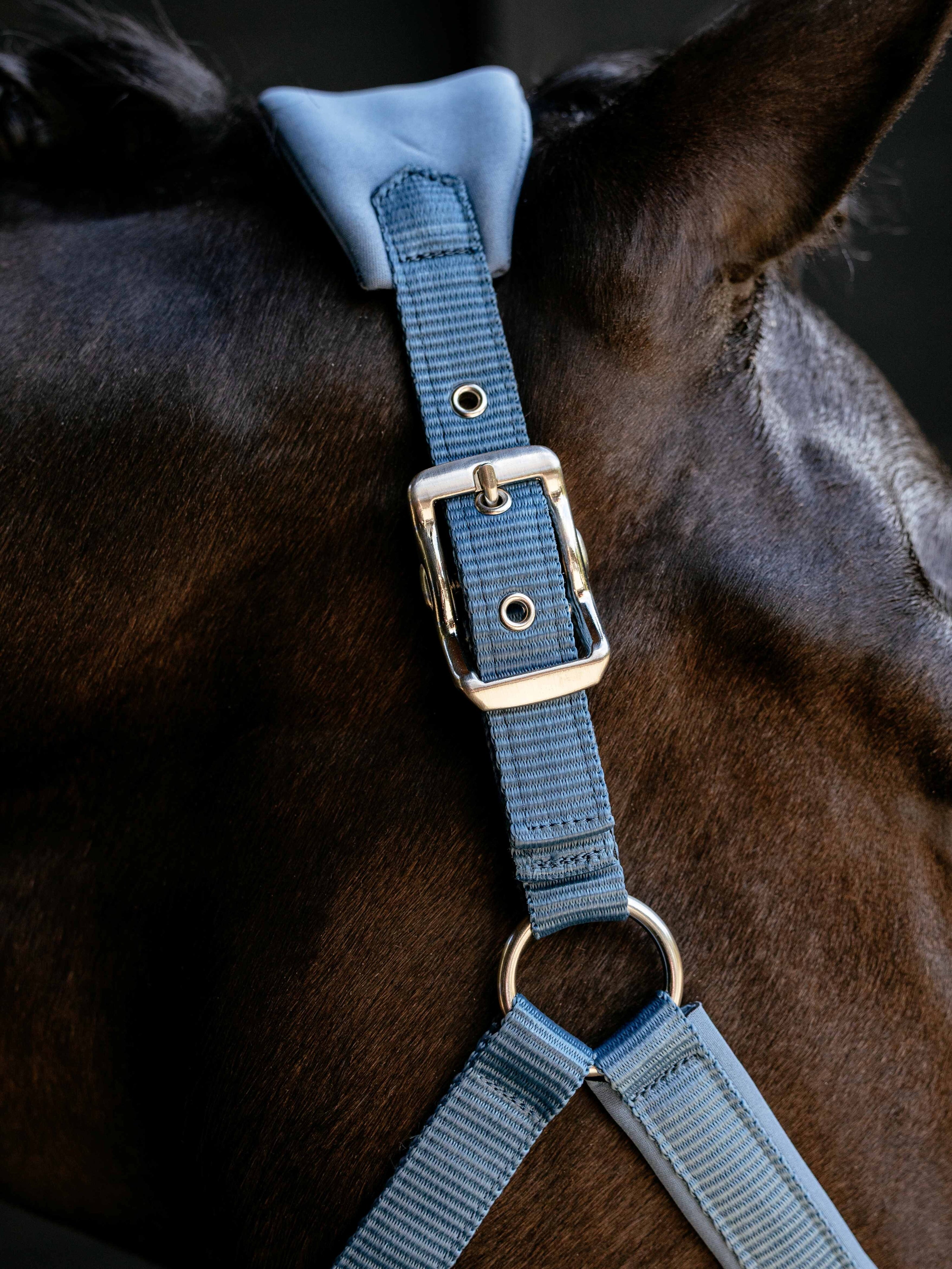 LeMieux Breakaway Vogue Halster – detailfoto 8