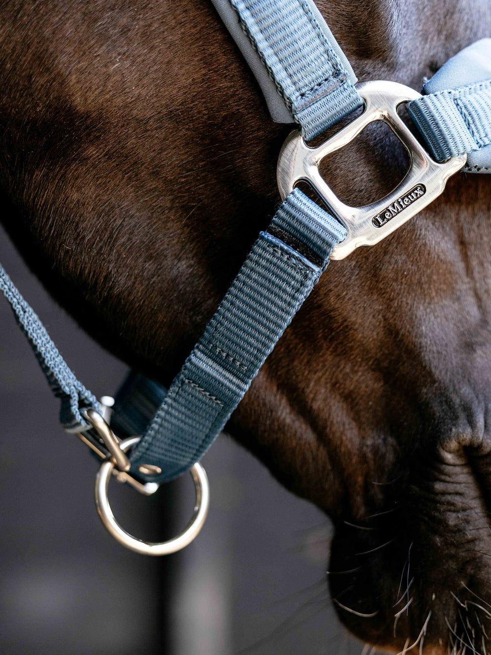 LeMieux Breakaway Vogue Halster – detailfoto 7