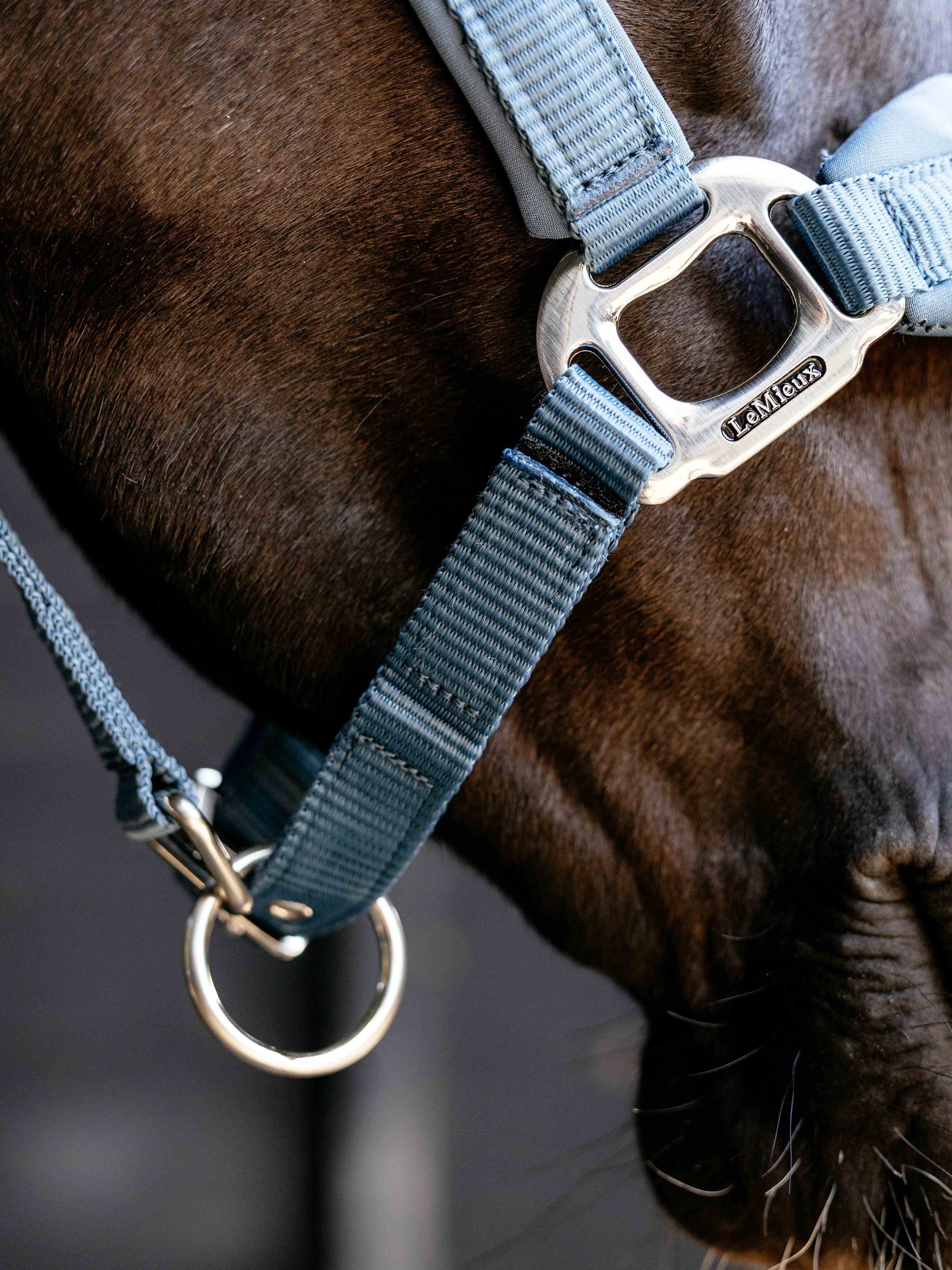 LeMieux Breakaway Vogue Halster – detailfoto 7