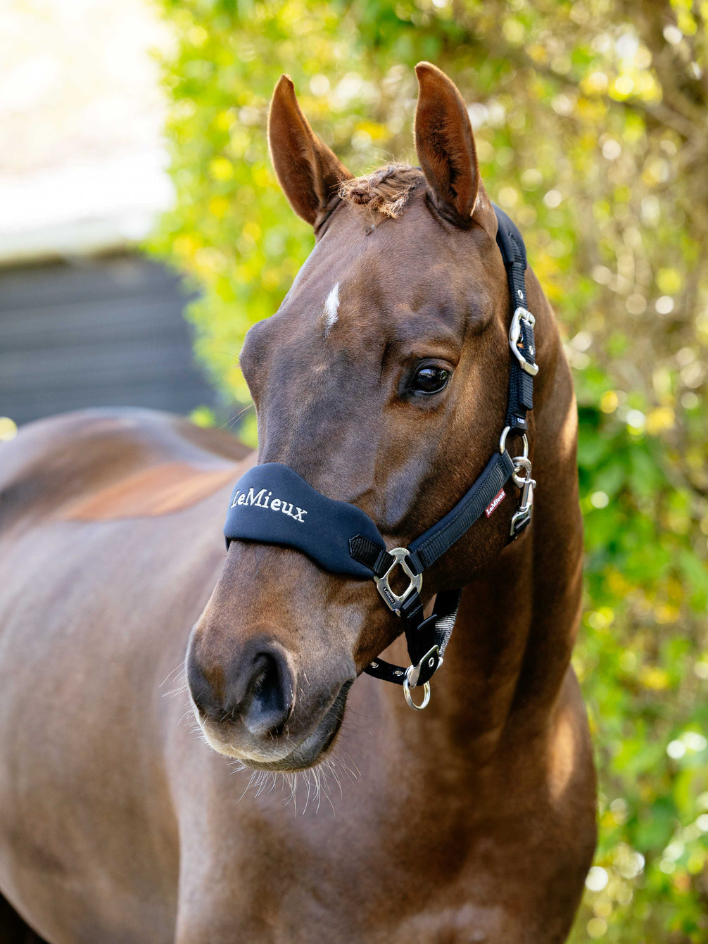 LeMieux Breakaway Vogue Halster – detailfoto 6