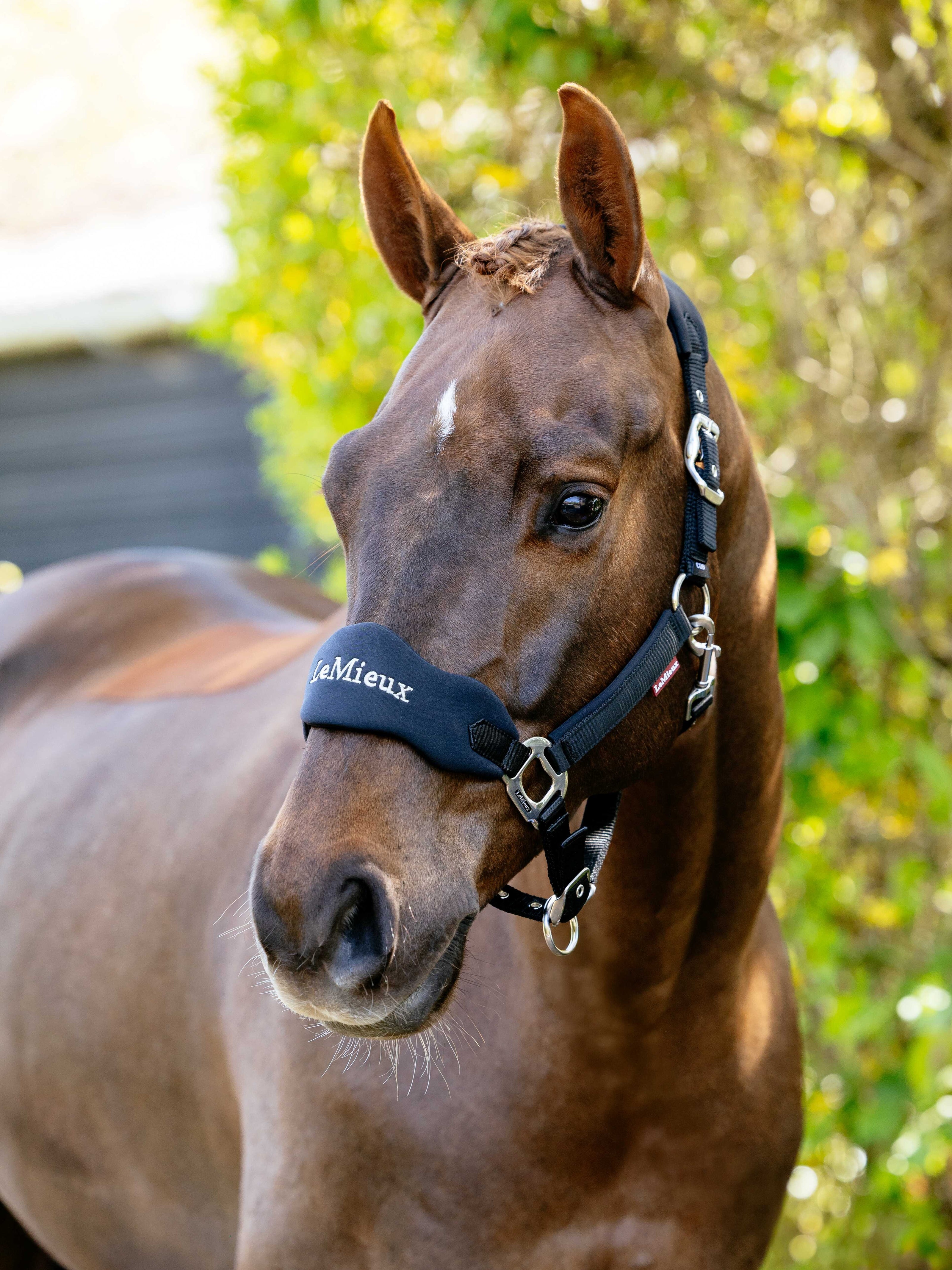 LeMieux Breakaway Vogue Halster – detailfoto 6