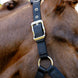 LeMieux Breakaway Vogue Halster – detailfoto 4