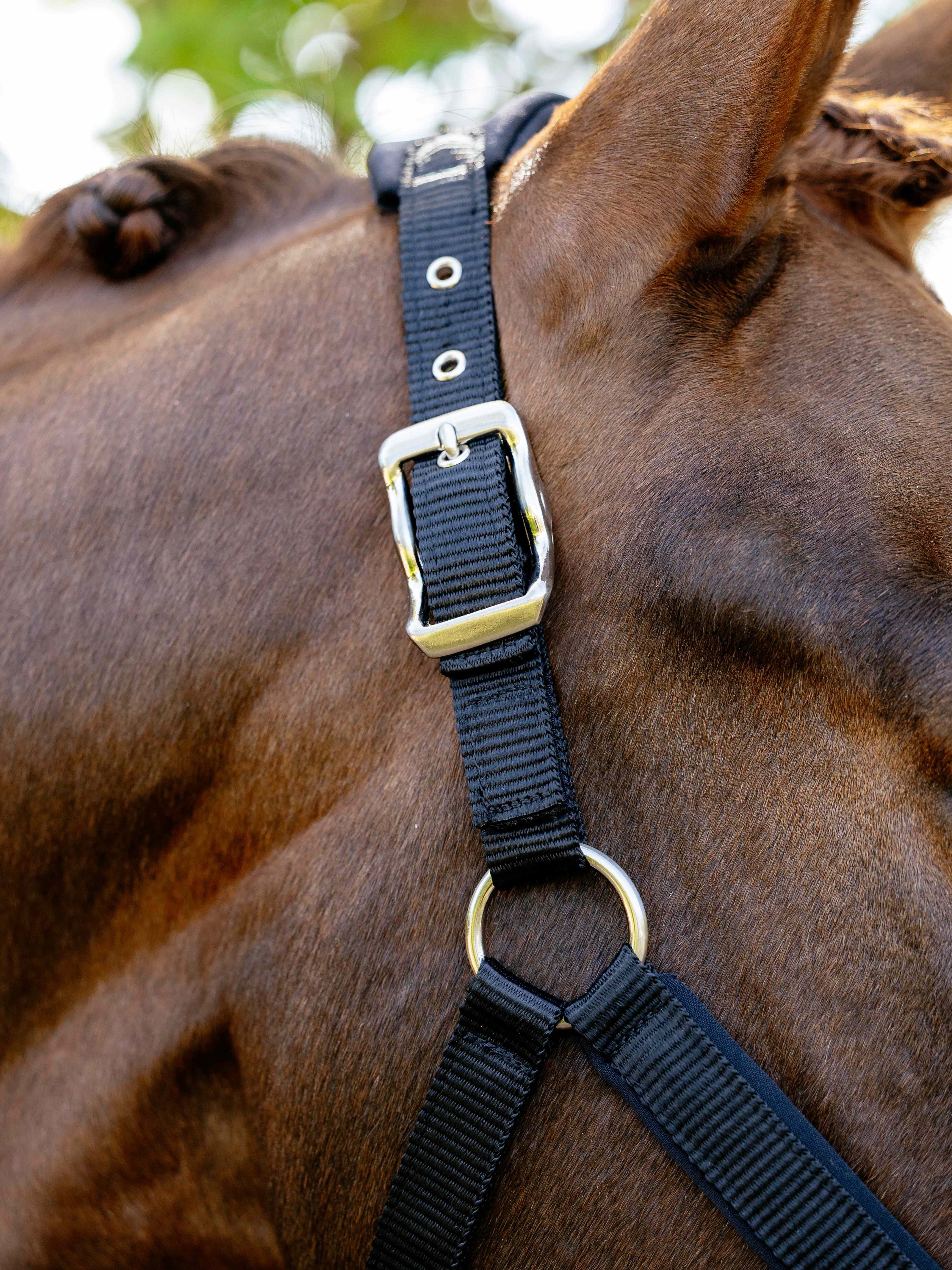 LeMieux Breakaway Vogue Halster – detailfoto 4