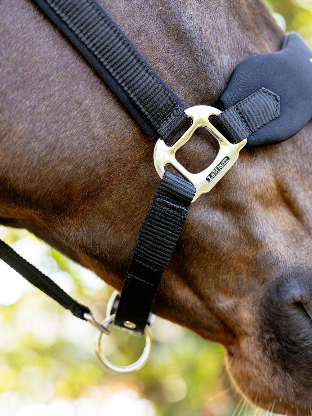 LeMieux Breakaway Vogue Halster – detailfoto 5