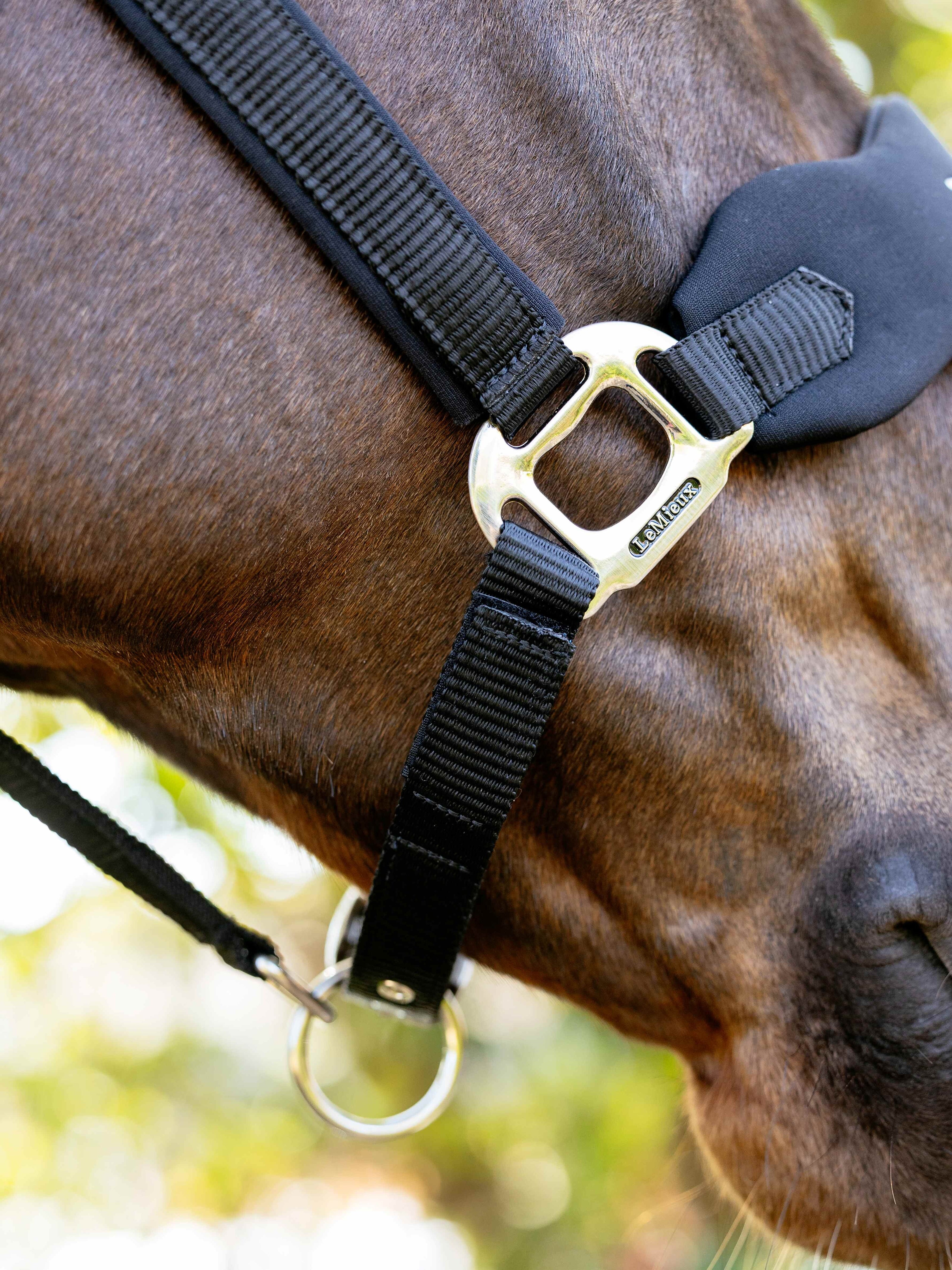 LeMieux Breakaway Vogue Halster – detailfoto 5
