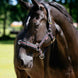 LeMieux Longeerhalster – detailfoto 2