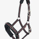 LeMieux Longeerhalster | Maddelin Equestrian