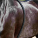 LeMieux Longeerhulp – detailfoto 4