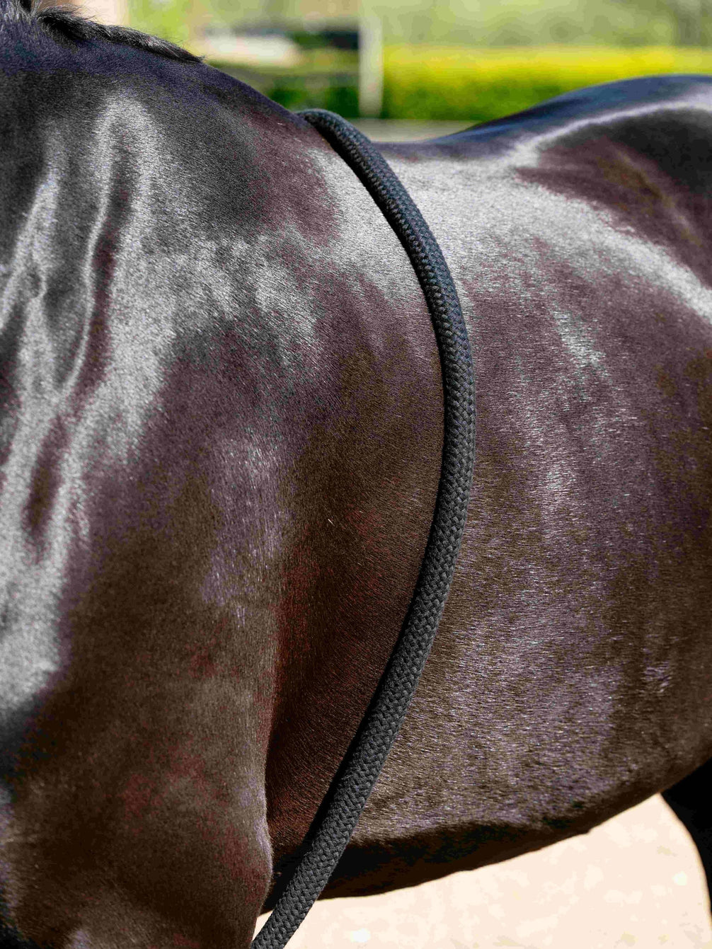 LeMieux Longeerhulp – detailfoto 4