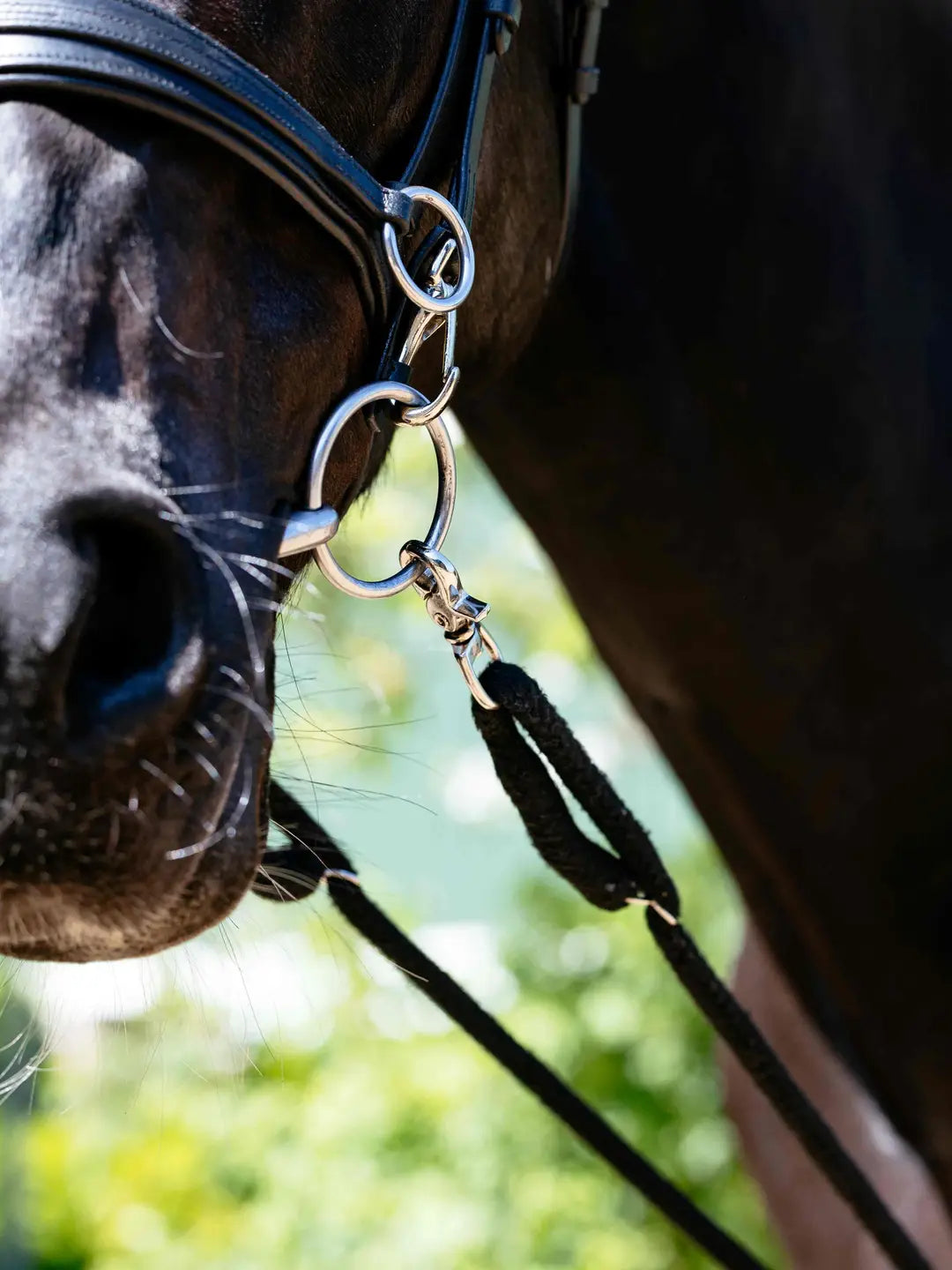 LeMieux Longeerhulp – detailfoto 3