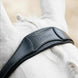 LeMieux Arika Anatomic Flash hoofdstel