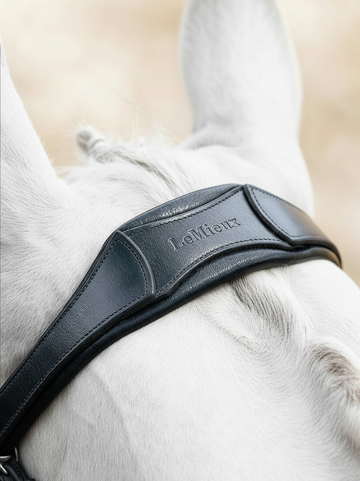 LeMieux Arika Anatomic Flash hoofdstel