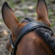 LeMieux Arika Dressage Hoofdstel