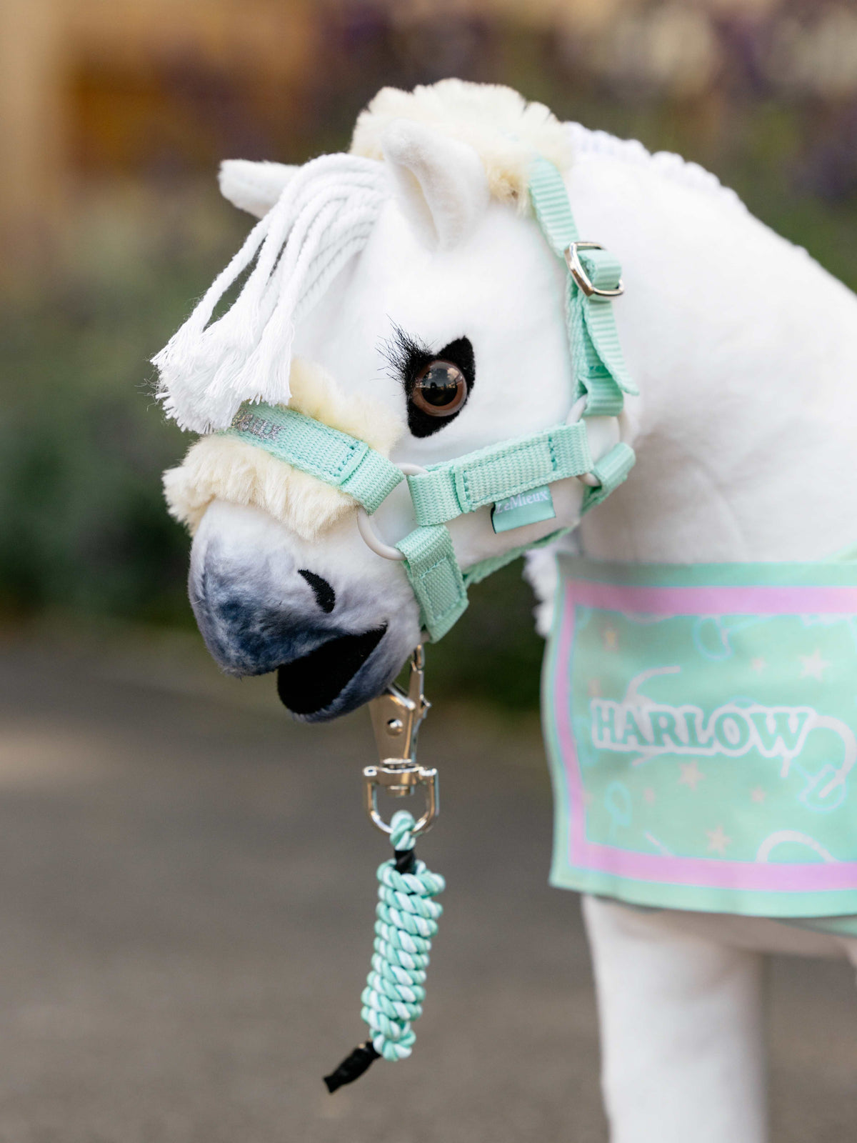 LeMieux Harlow Toy Pony Halster + Touw