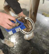 Kelcie Hoevenkrabber + Borstel Blue Borstels & toebehoren - Maddelin Equestrian Kelcie