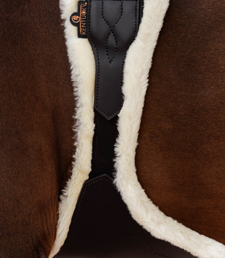 Kentucky Anatomische Buiklapsingel Wol Singels - Maddelin Equestrian Kentucky