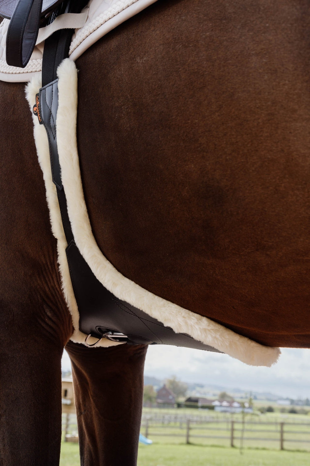 Kentucky Anatomische Buiklapsingel Wol Singels - Maddelin Equestrian Kentucky