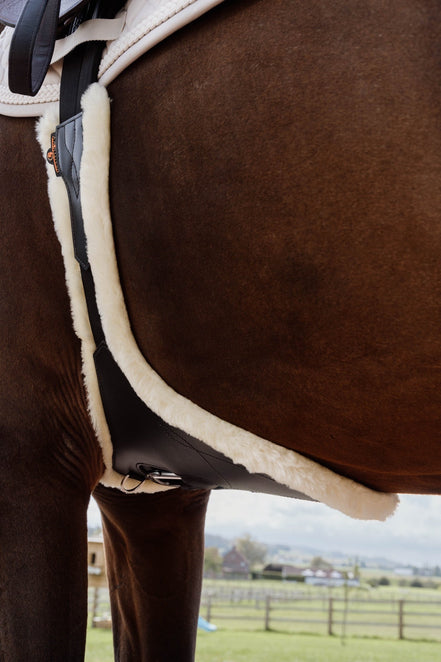 Kentucky Anatomische Buiklapsingel Wol Singels - Maddelin Equestrian Kentucky