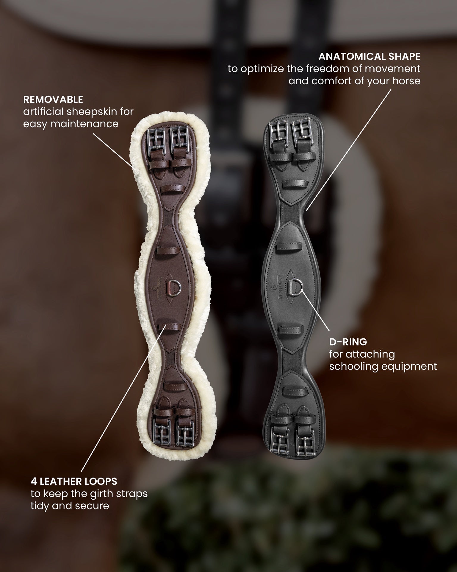 Kentucky Anatomische korte singel Singels - Maddelin Equestrian Kentucky