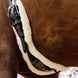 Kentucky Anatomische Korte Singel Wol Singels - Maddelin Equestrian Kentucky