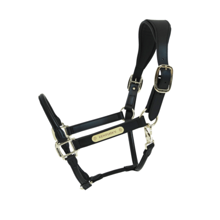 Kentucky Anatomische Leder Halster Lederen - Maddelin Equestrian Kentucky