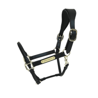Kentucky Anatomische Leder Halster Lederen - Maddelin Equestrian Kentucky