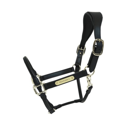 Kentucky Anatomische Leder Halster Lederen - Maddelin Equestrian Kentucky