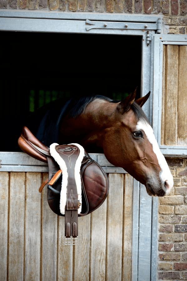 Kentucky Anatomische Singel Wol Singels - Maddelin Equestrian Kentucky