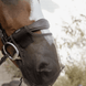 Kentucky Anti - vlieg neusnetje Vliegenmaskers en lintjes - Maddelin Equestrian Kentucky