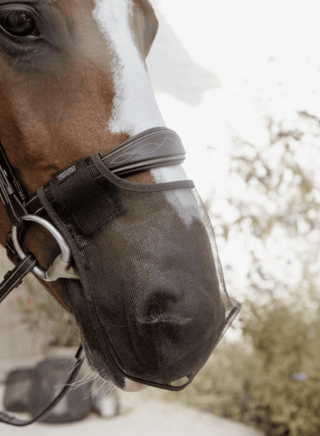 Kentucky Anti - vlieg neusnetje Vliegenmaskers en lintjes - Maddelin Equestrian Kentucky