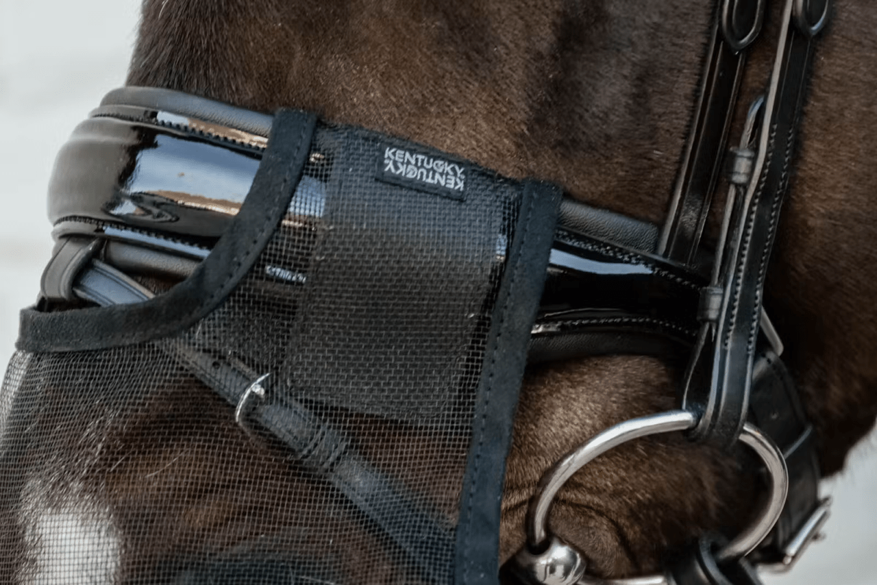 Kentucky Anti - vlieg neusnetje Vliegenmaskers en lintjes - Maddelin Equestrian Kentucky