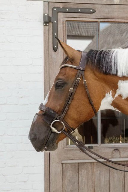 Kentucky Anti - vlieg neusnetje Vliegenmaskers en lintjes - Maddelin Equestrian Kentucky